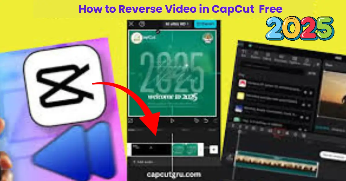 Screenshot showing how to reverse video in CapCut PC using the Speed and Reverse option for trendy social media edits.